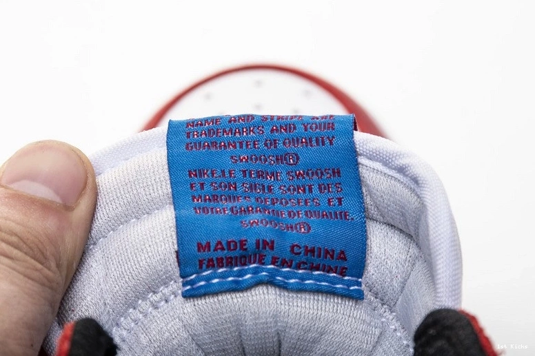 Jordan Man 555088-602 Spider 1 Air 0516